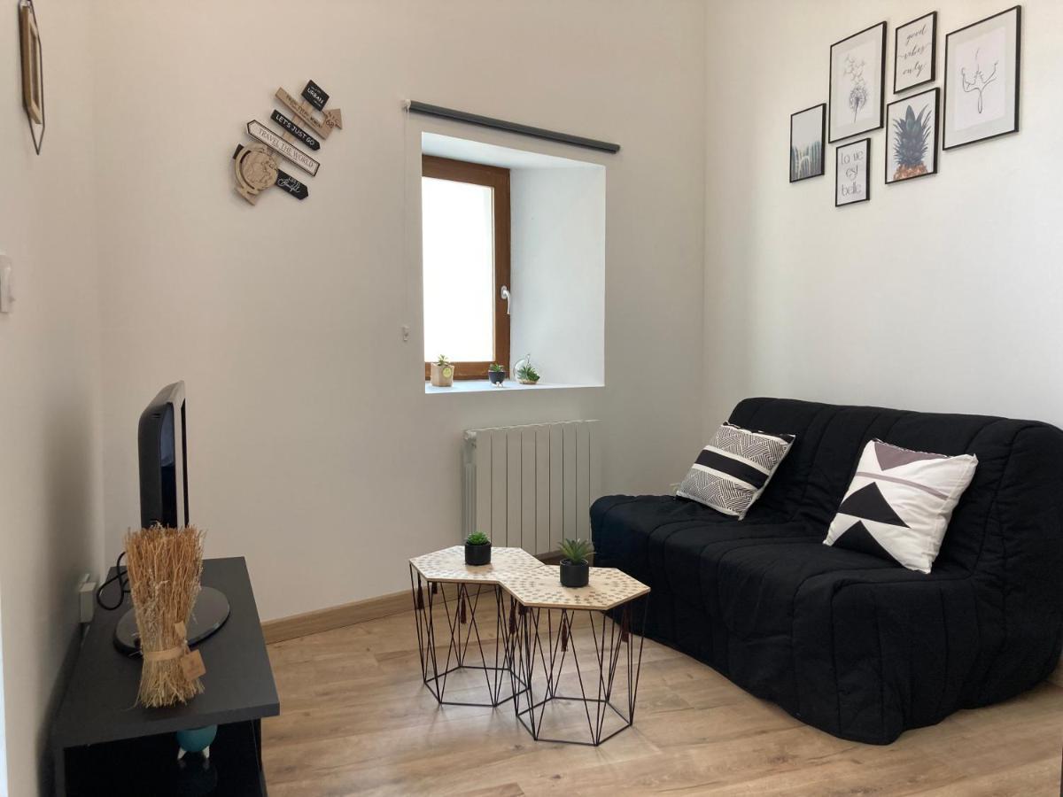 Appartement Au Coeur D'Espalion La Cabane Du Lot Zewnętrze zdjęcie